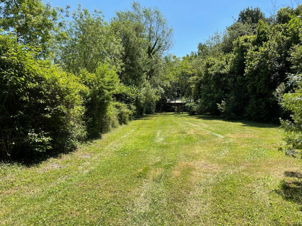 Bastidette Florestane Saint-Remy-de-Provence Luaran gambar