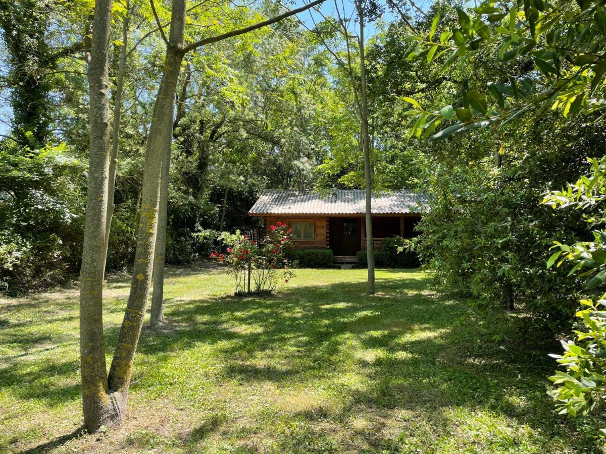 Bastidette Florestane Saint-Remy-de-Provence Luaran gambar