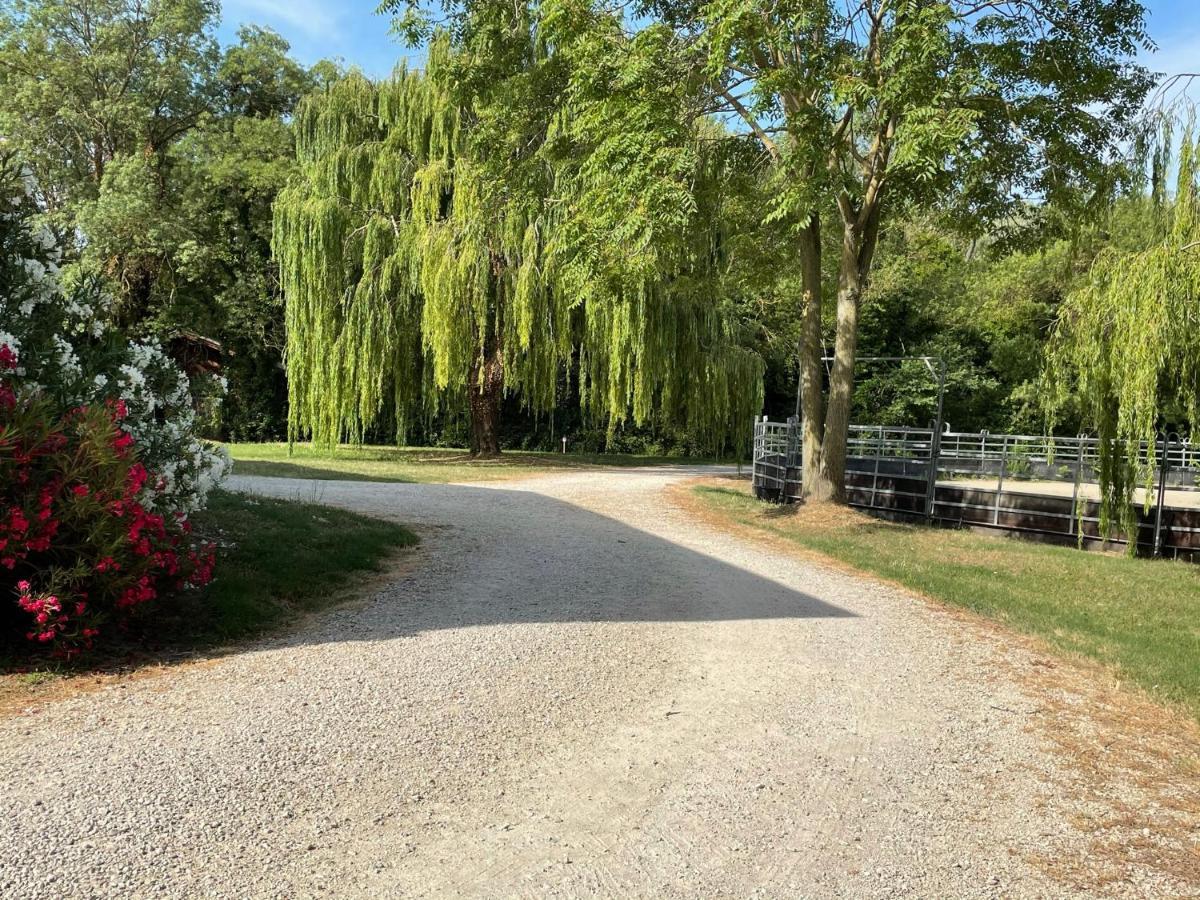 Bastidette Florestane Saint-Remy-de-Provence Luaran gambar